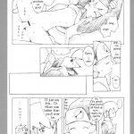 Mega Man Battle Network