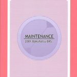 Mega Man Battle Network