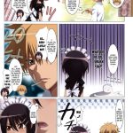 Meid in Maid-sama!
