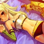 Monster Hunter Portable 2nd G