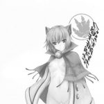 Monhan no Ero Hon 4+G