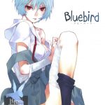 Bluebird
