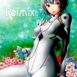Reimix