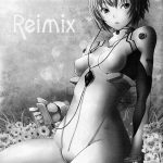 Reimix
