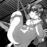 Second Hobaku Project 3