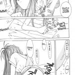 Ah! Megami-sama ga Soushuuhen 2