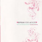 Welcome to Ayanamis House