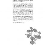 Ore no Imouto ga Nekomimi Hadaka Apron na Wake ga Nai