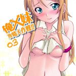 Ore x Imouto Kouryaku Daisakusen!! 03