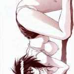 Chou Soreyuke! Melfinasan Kanseihan