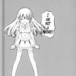 Tadashii OS no Atsukaikata