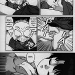 RANMA X The Touch of Akane – Happosai’s Revenge