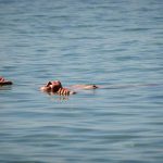 Nudism Party Beach Hot Girls