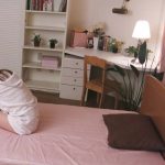 未熟なチ●ポを咥え込み戸惑う甥っ子をもてあそぶショタコンお姉ちゃん 吉沢明歩 1