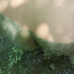 吉澤明步 写真集 Private zone