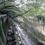 sex symbol蓮実クレア セクシーでカッコイイヌード写真集 ビジュアルフォトブック007