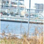 ヌードフォトブック032 春原未来 綺麗でカッコイイヌード写真集