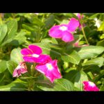 Super new type ゆず セクシーでカッコイイヌード写真集 ビジュアルフォトブック009