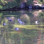 あんり セクシーでカッコイイヌード写真集 ビジュアルフォトブック015 Infinite