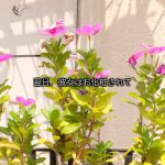 Super new type ゆず セクシーでカッコイイヌード写真集 ビジュアルフォトブック009