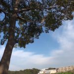 Flying ルリ セクシーでカッコイイヌード写真集 ビジュアルフォトブック012