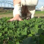 Flying ルリ セクシーでカッコイイヌード写真集 ビジュアルフォトブック012