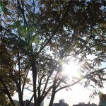 Flying ルリ セクシーでカッコイイヌード写真集 ビジュアルフォトブック012