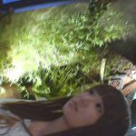 中出し乱交 FULL SAIL