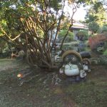 中出し人妻不倫旅行 真木今日子 Complete