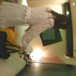 中出し乱交 FULL SAIL