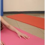 リケジョの品格 吉沢明歩