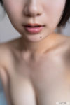 Shiho Fujie Vol.2
