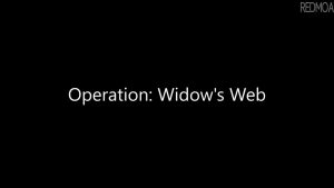 Black Widow operation Widows Web