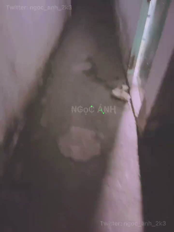 Asian Japanese MILF Amateur POV